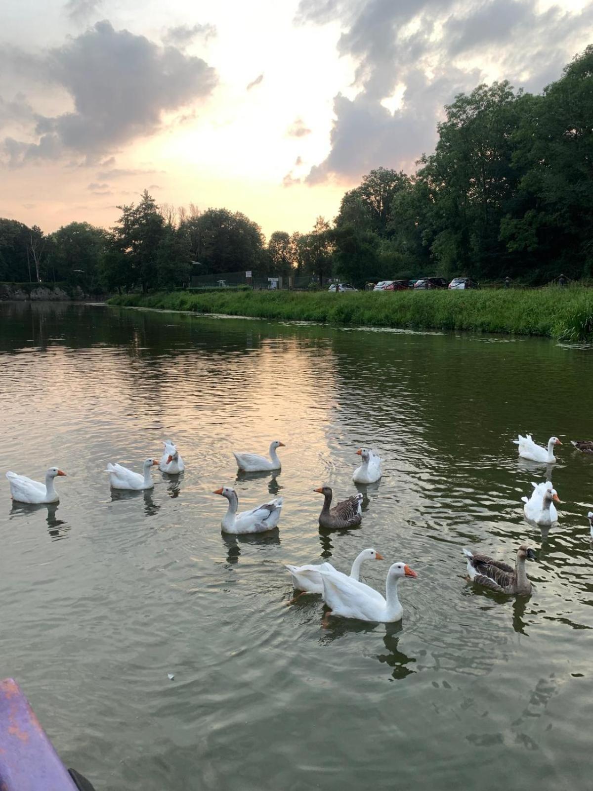 Nuit Insolite A Bord D'Une Peniche, 6 Personnes 贝尔格 外观 照片